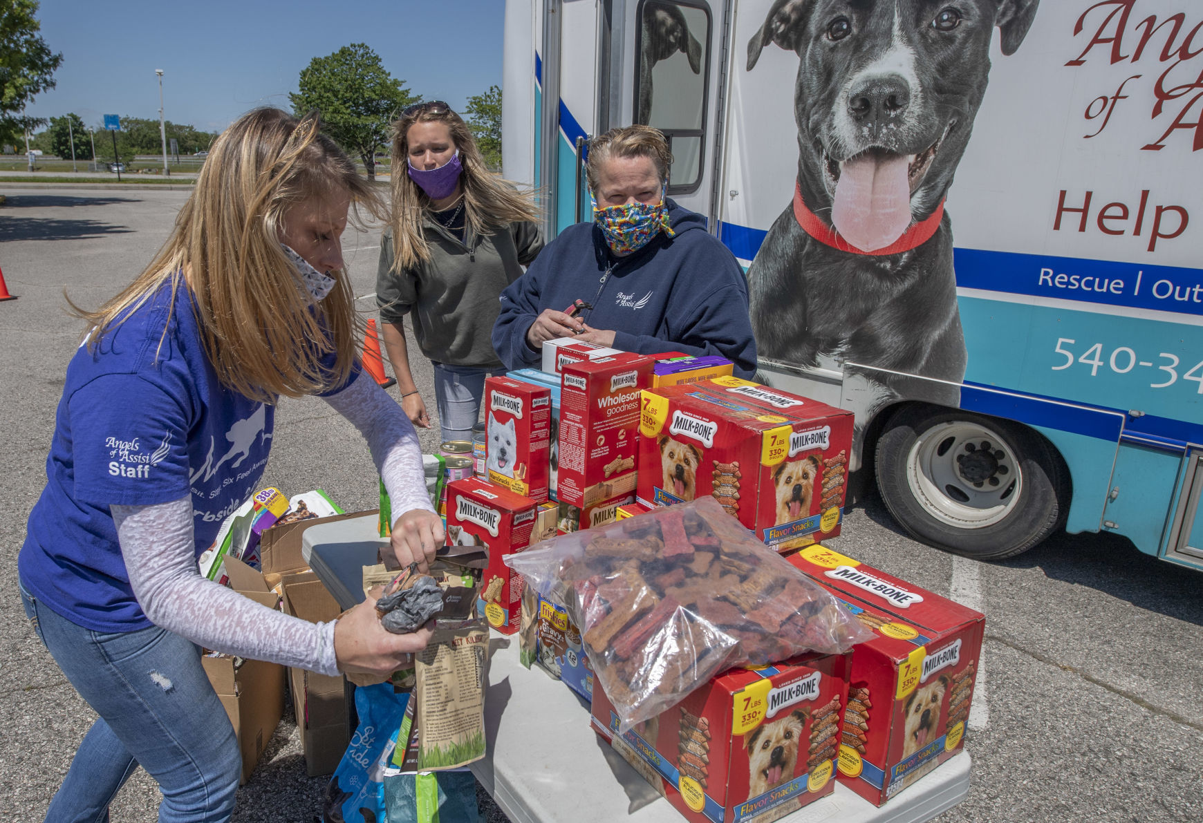 dp_Pet Food_05092013